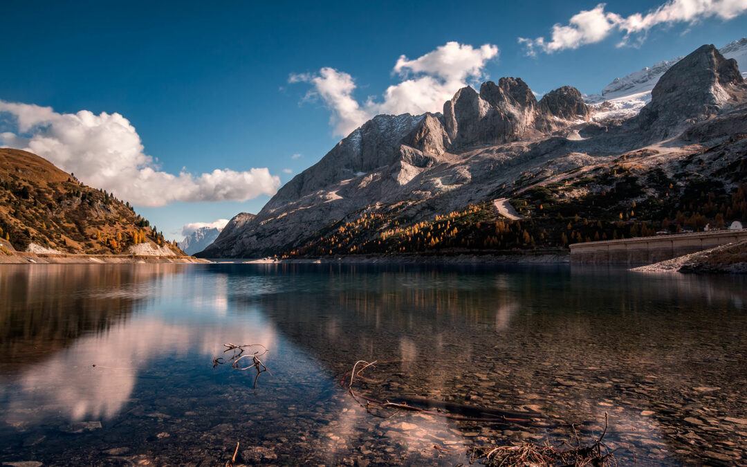 Important Message For TUSC Members