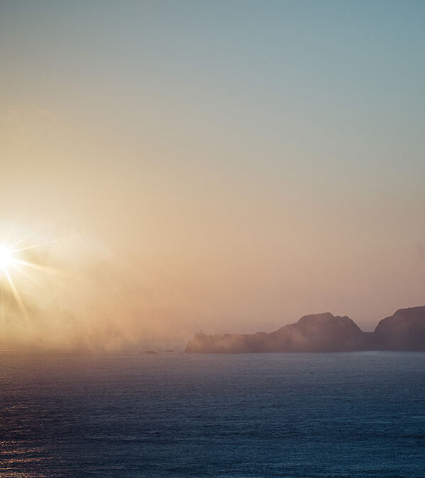 Newest Game Coming Out!